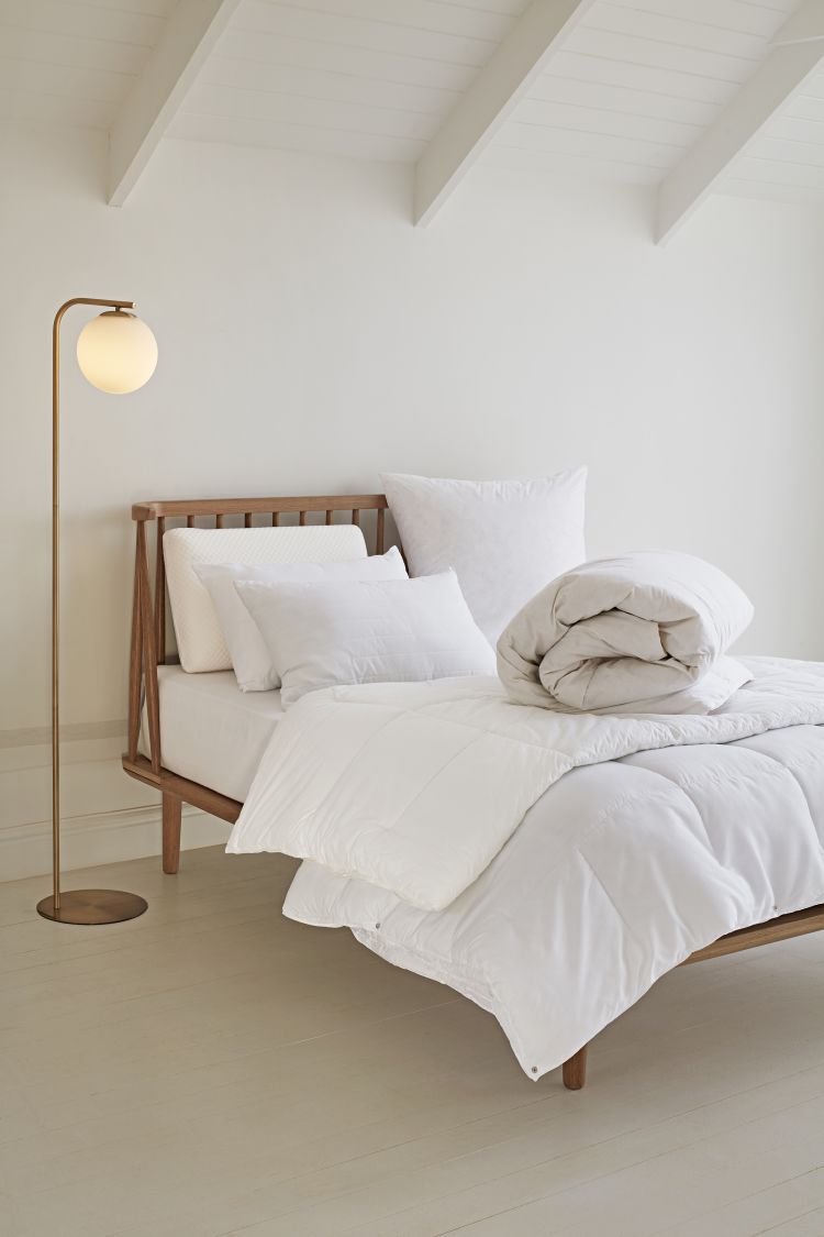 Your zone pillows outlet